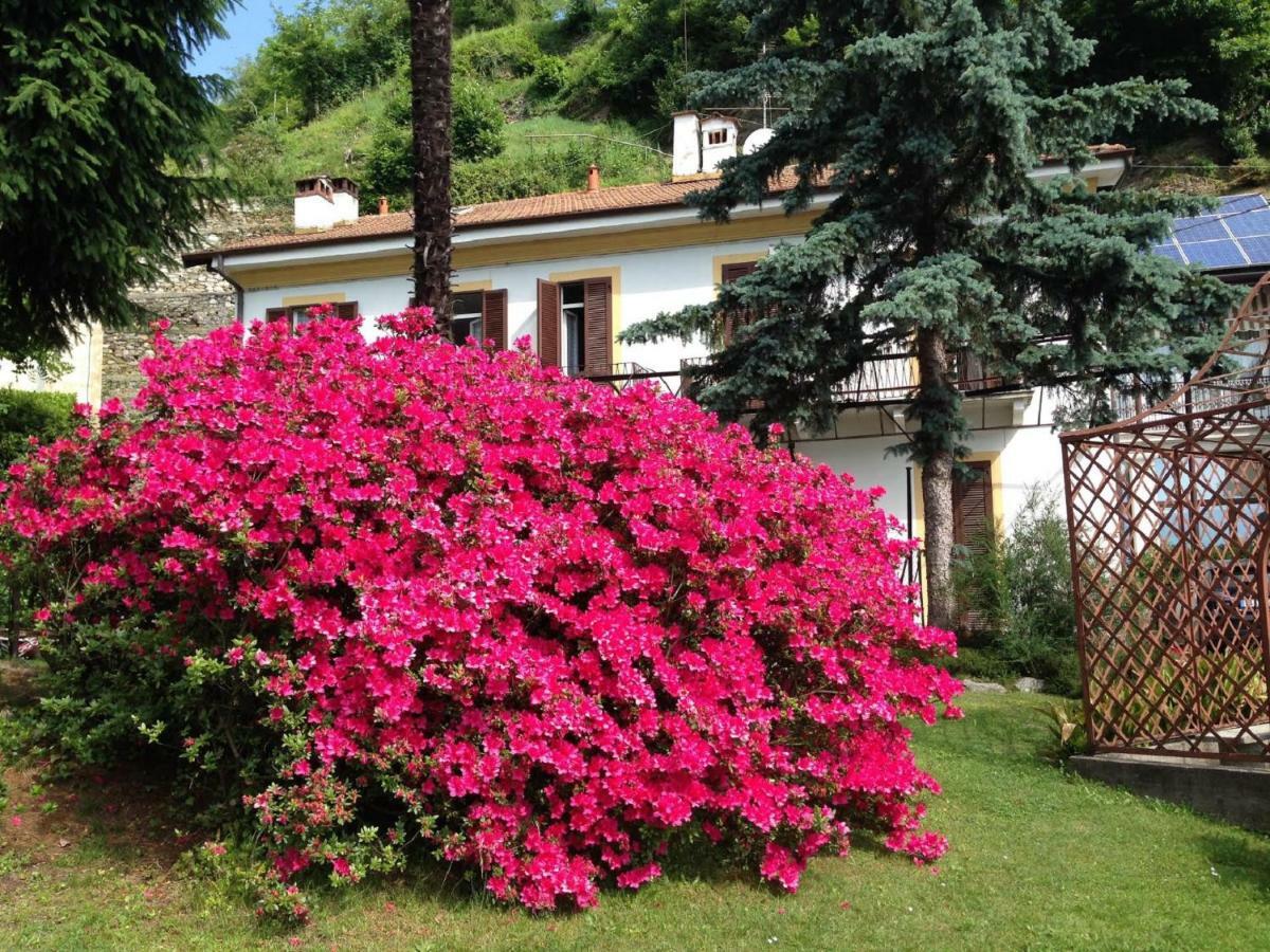 Villa Ombrosa Nebbiuno Exterior foto